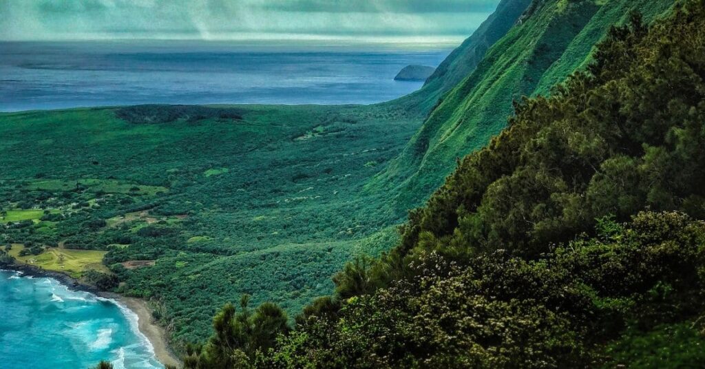 A stunning view of Hawaii's lush green mountains surrounded by tropical vegetation and a clear blue sky, highlighting the natural beauty of one of the best places to visit in March in the USA.