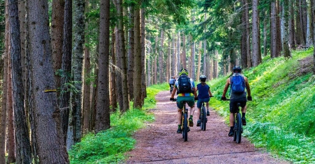 Group of cyclists enjoying one of the scenic forest trails, showcasing popular outdoor things to do in North Conway NH.