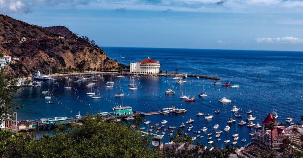 Catalina things to do at Avalon Harbor, showcasing the vibrant waterfront and marina.