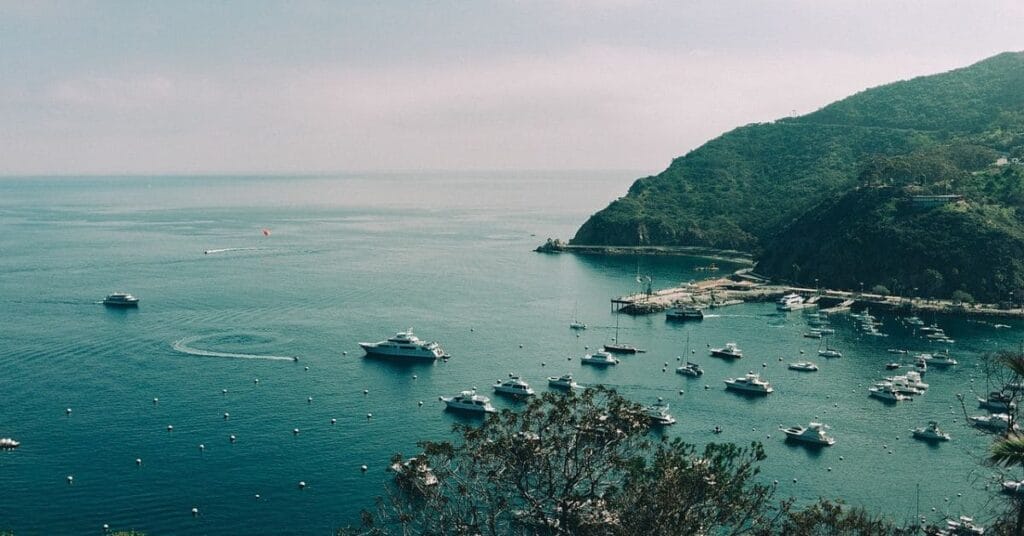 A panoramic view of Catalina Island's harbor, filled with boats and surrounded by lush green hills.