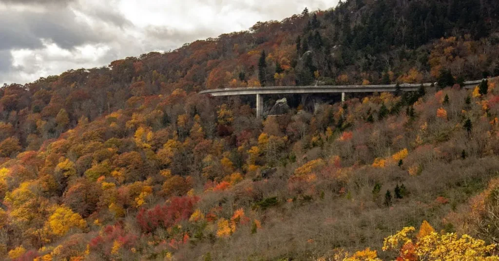 A scenic mountain road winding through vibrant fall foliage, showcasing one of the best places to visit in the USA for first time travelers.