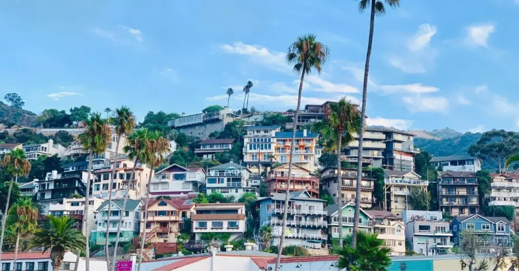 A vibrant daytime view of hillside homes in Catalina Island, showcasing the unique architecture and lush surroundings. This image highlights the charming residential areas and suggests catalina island things to do such as exploring the town, enjoying the scenery, and discovering local life.