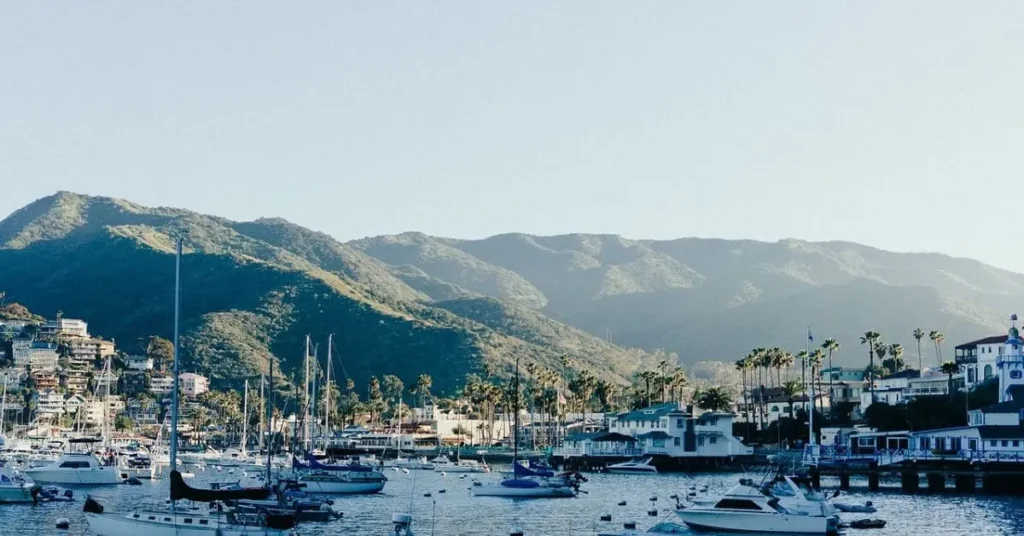 A bright, sunlit harbor scene in Catalina Island, featuring numerous boats moored in calm blue waters, with lush green hills rising in the background. This image showcases a picturesque aspect of the island and suggests catalina island things to do such as boating, sightseeing, and relaxation.