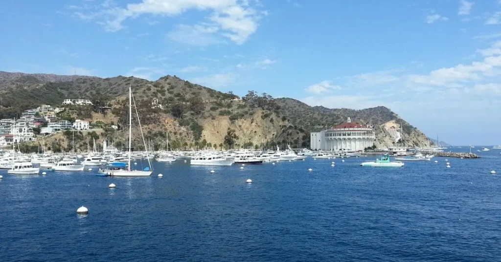 A scenic view of Avalon Harbor, Catalina Island, featuring numerous boats anchored in the blue water, hillsides dotted with houses, and the iconic Casino building, highlighting things to do on Catalina Island.