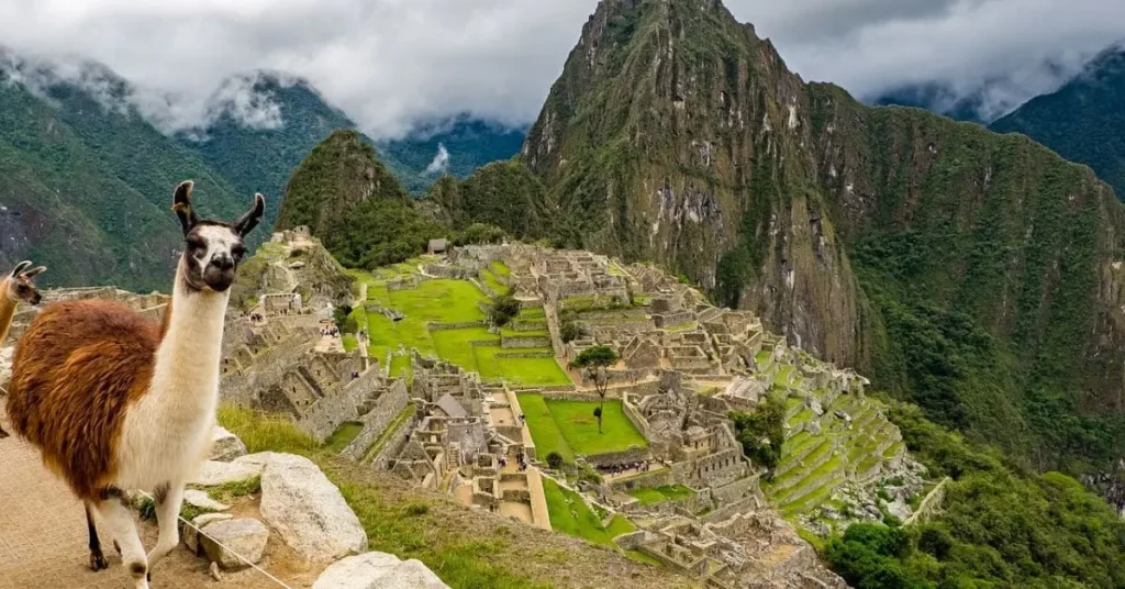 A llama standing in front of Machu Picchu, one of the most famous places to visit in Peru, with breathtaking mountain scenery in the background.