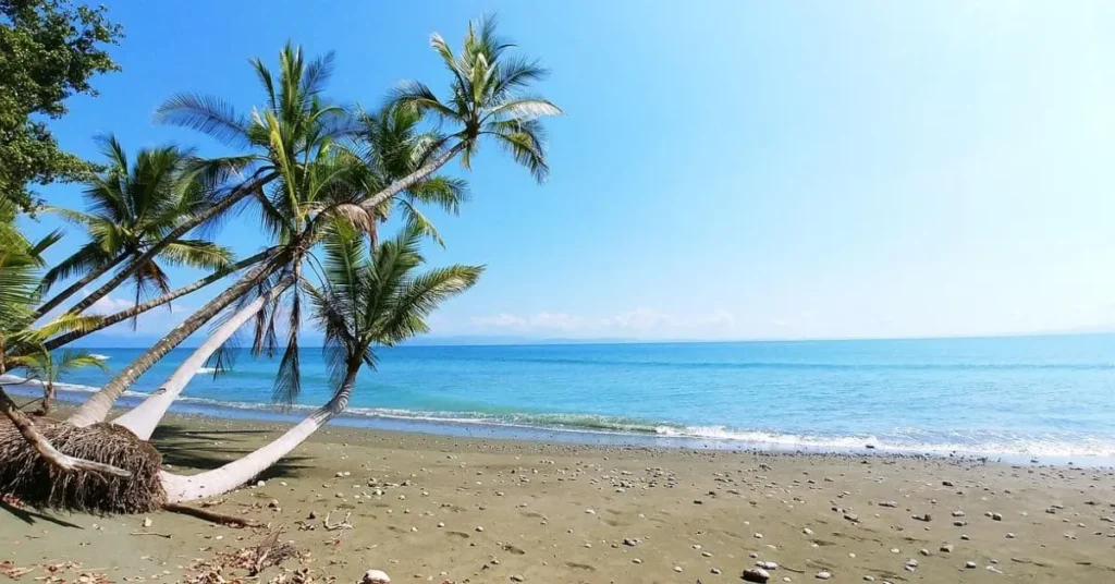 A serene beach scene in Costa Rica with leaning palm trees, a dark sandy beach, and calm turquoise waters, exemplifying the beauty of tropical places to visit.